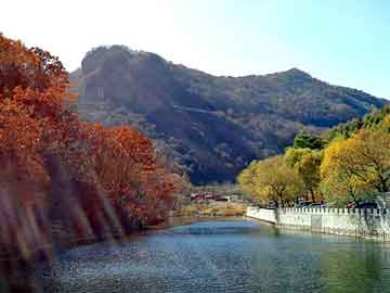 管家婆黑白马报图库，肉羊养殖基地